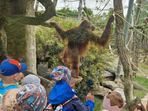Výlet do ZOO Praha