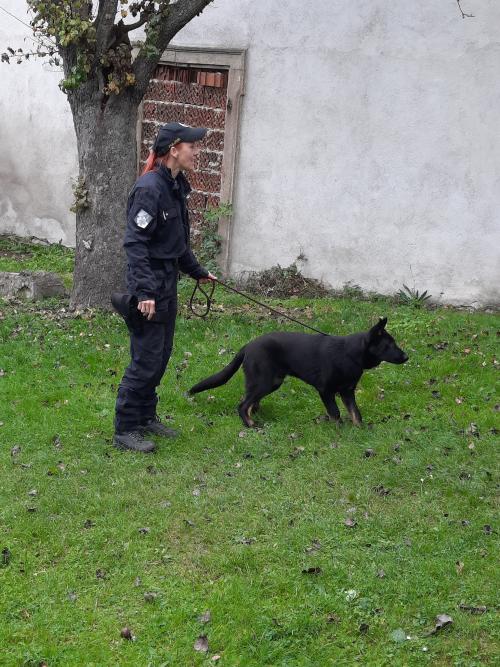 Policie ČR - Žabičky. Na zahradě ukázka práce psovodů pro všechny třídy společně